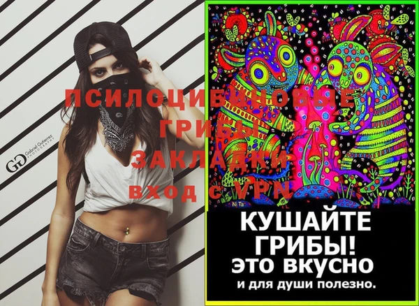 не бодяженный Каменск-Шахтинский