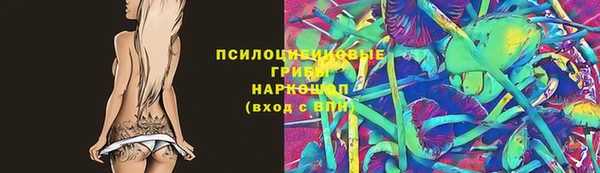 ГАЛЛЮЦИНОГЕННЫЕ ГРИБЫ Каменногорск