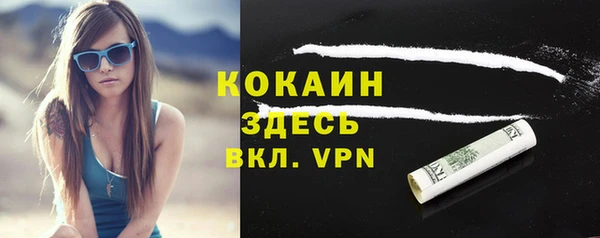 твердый Каменка