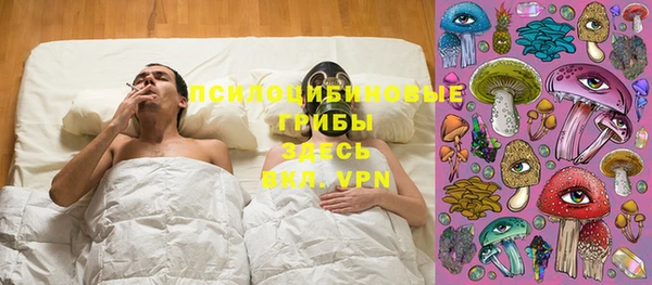 не бодяженный Каменск-Шахтинский